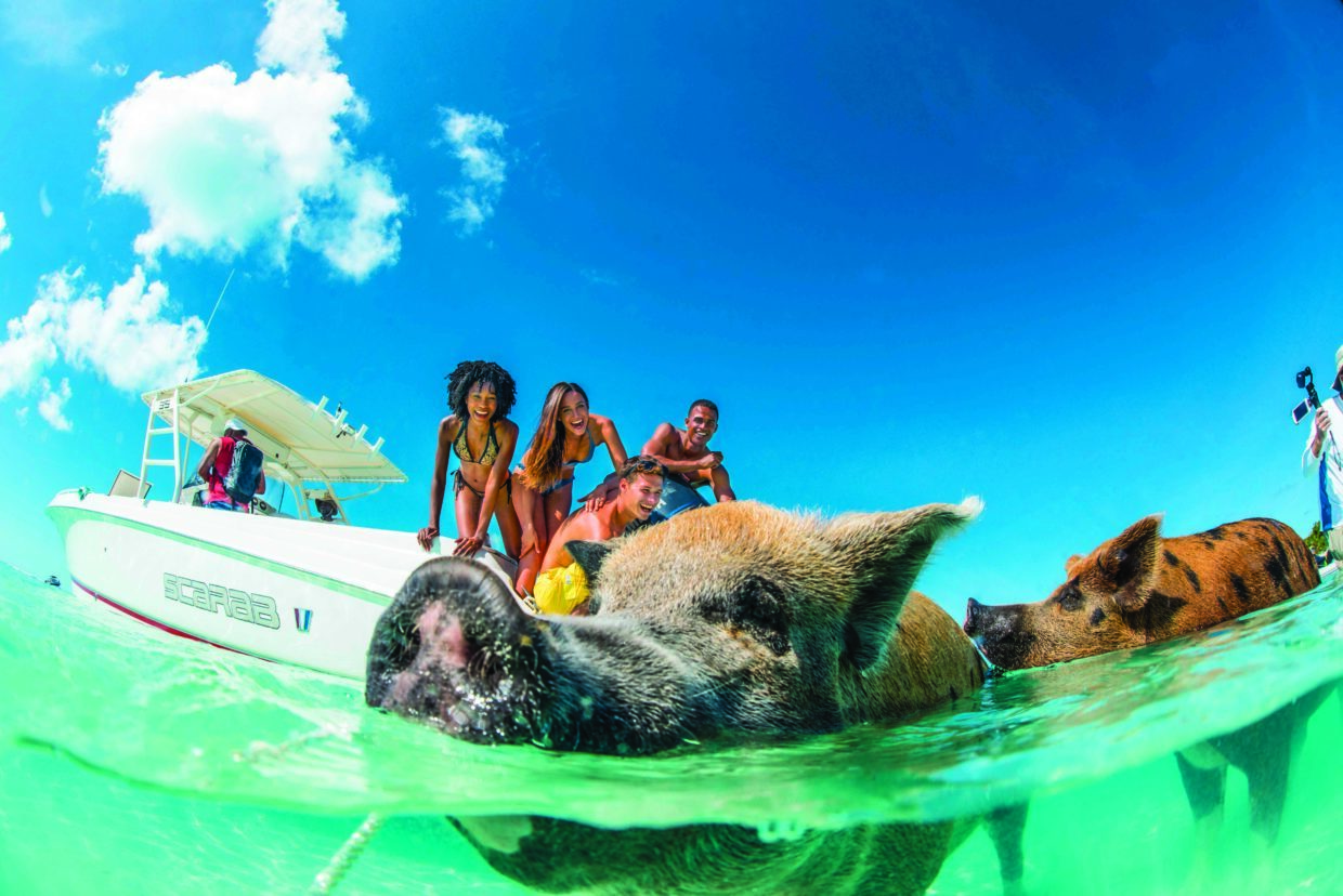 Bahamas travel photo 11