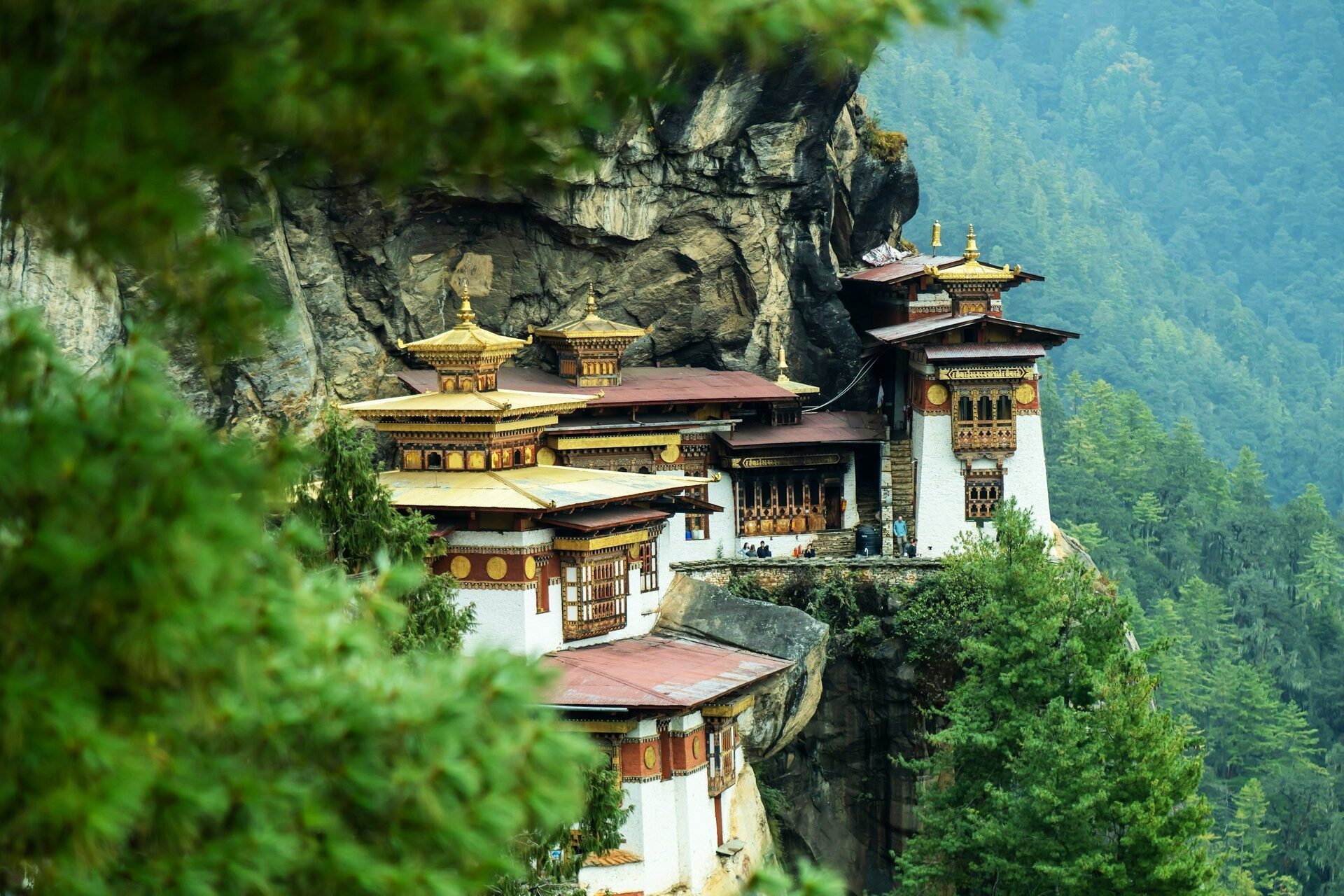 Bhutan travel photo 8