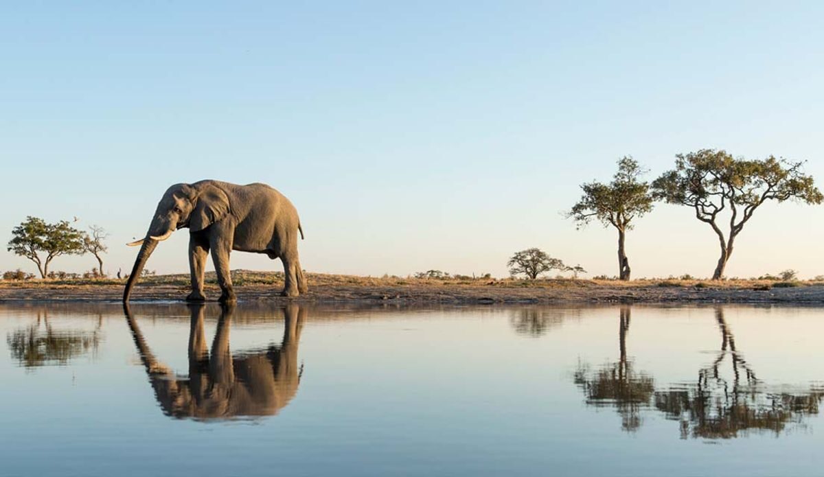Botswana travel photo 7