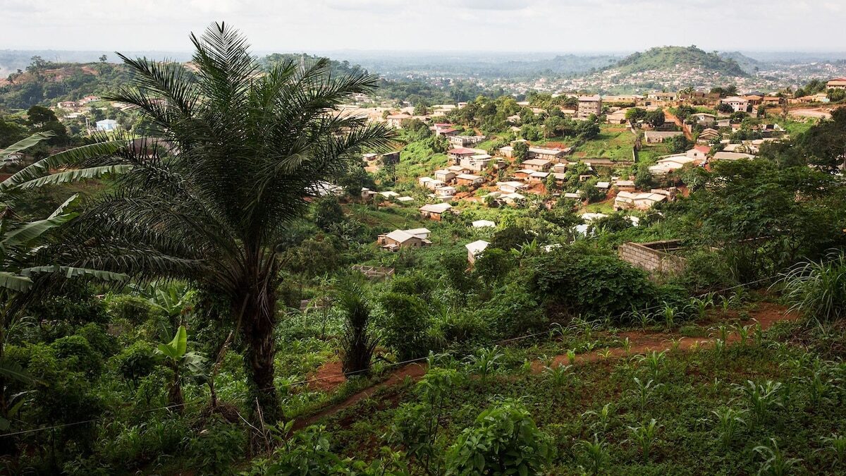 Cameroon travel photo 7