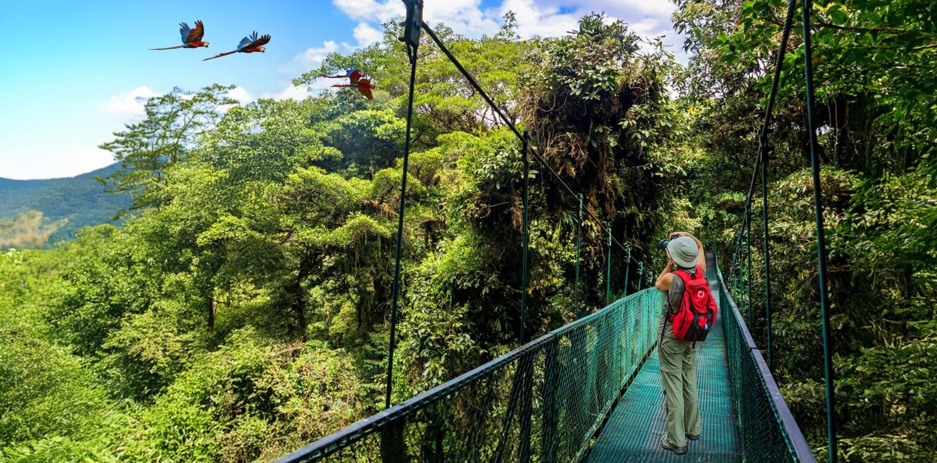 Costa Rica travel photo 8