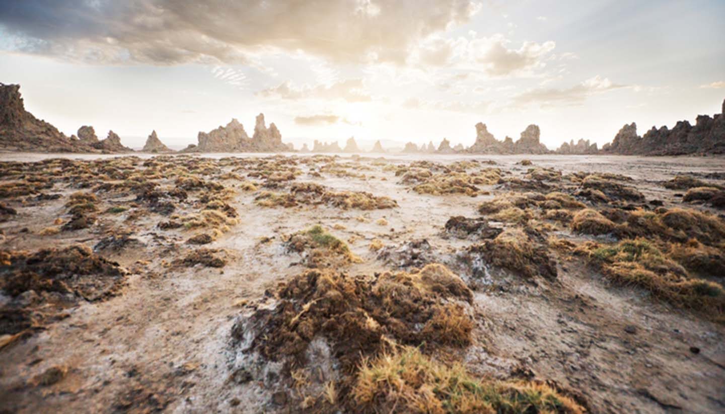 Djibouti travel photo 7