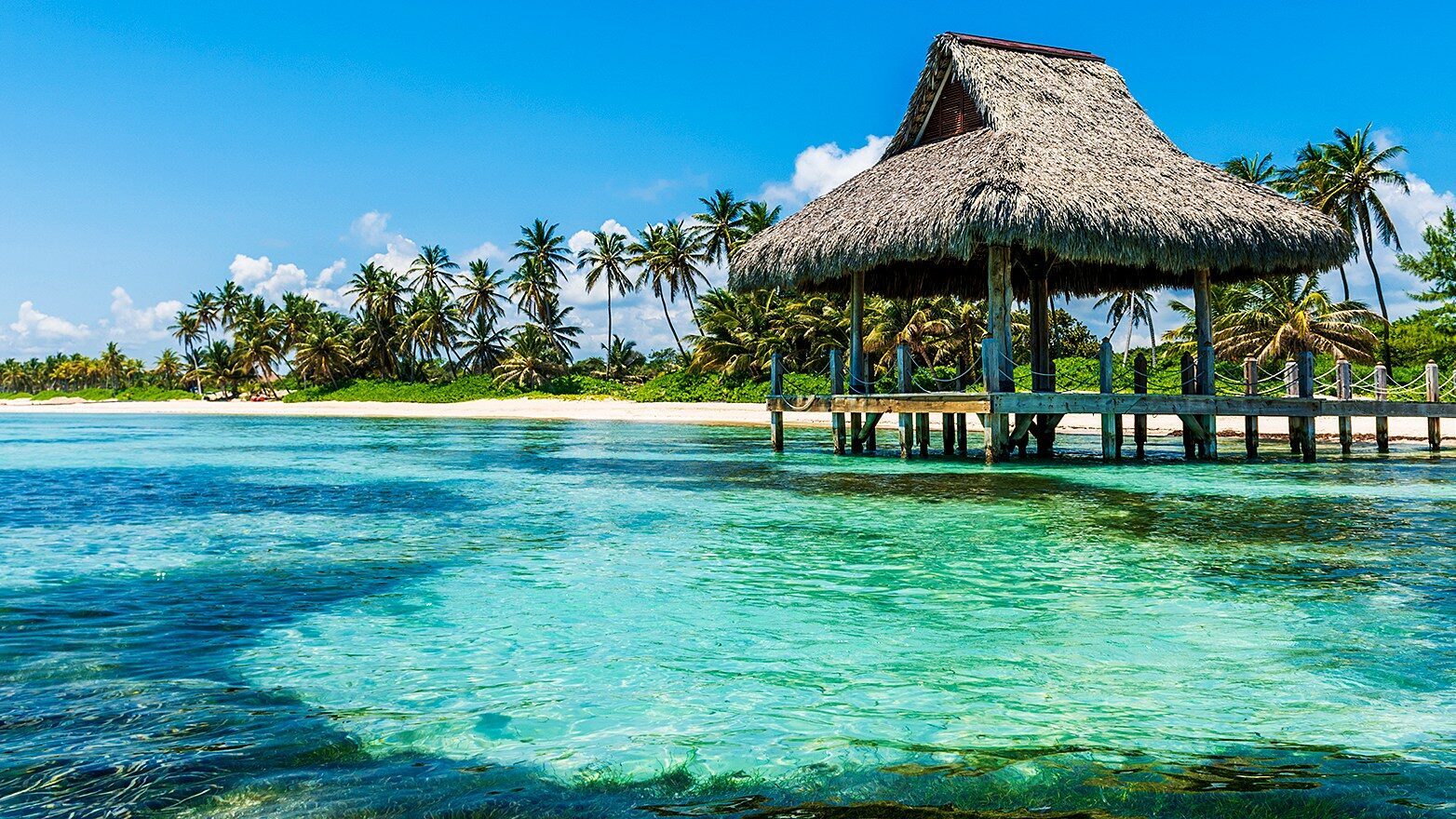 Dominican Republic travel photo 7