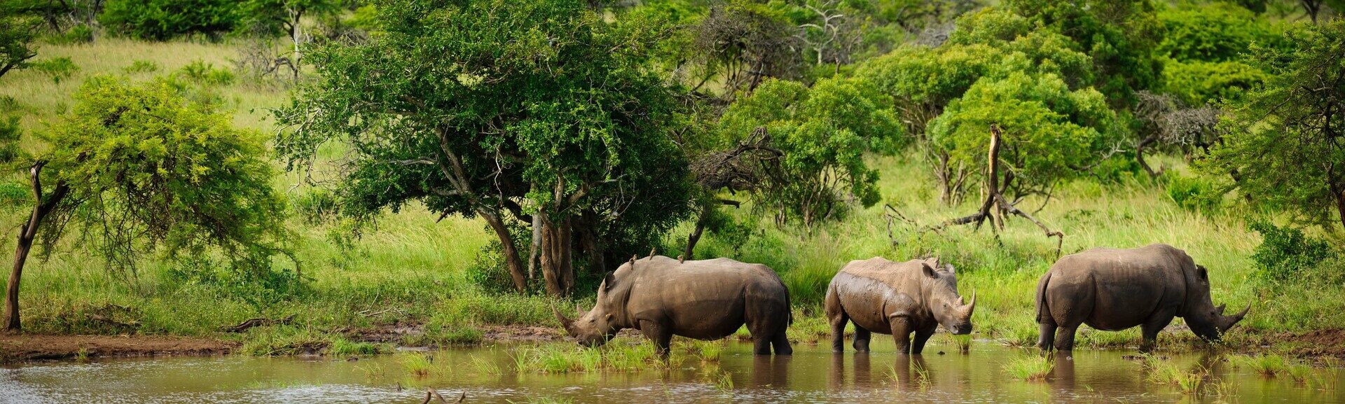 Eswatini travel photo 2