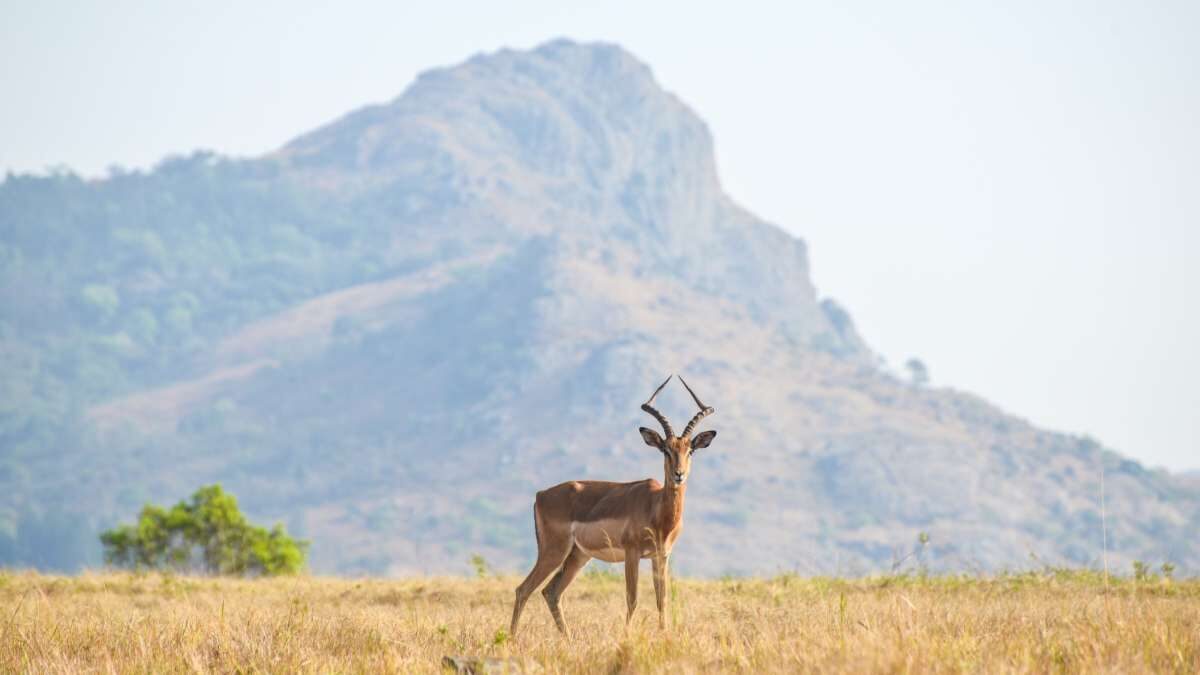 Eswatini travel photo 5