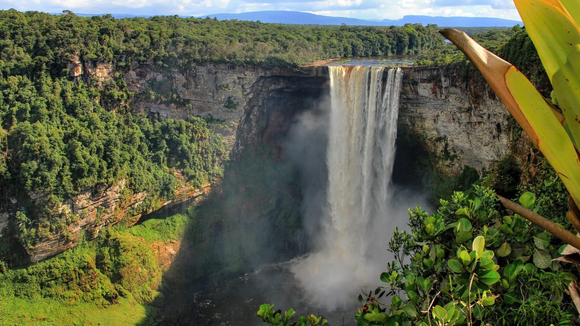 Guyana travel photo 11
