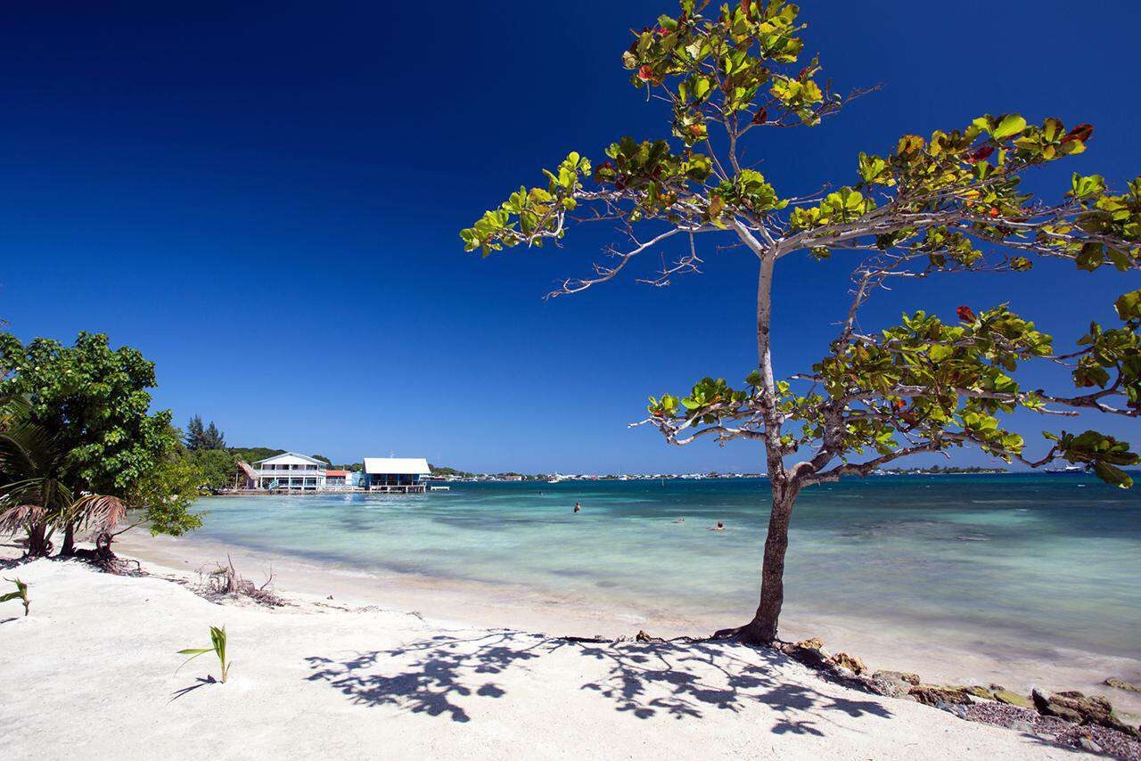 Honduras travel photo 3