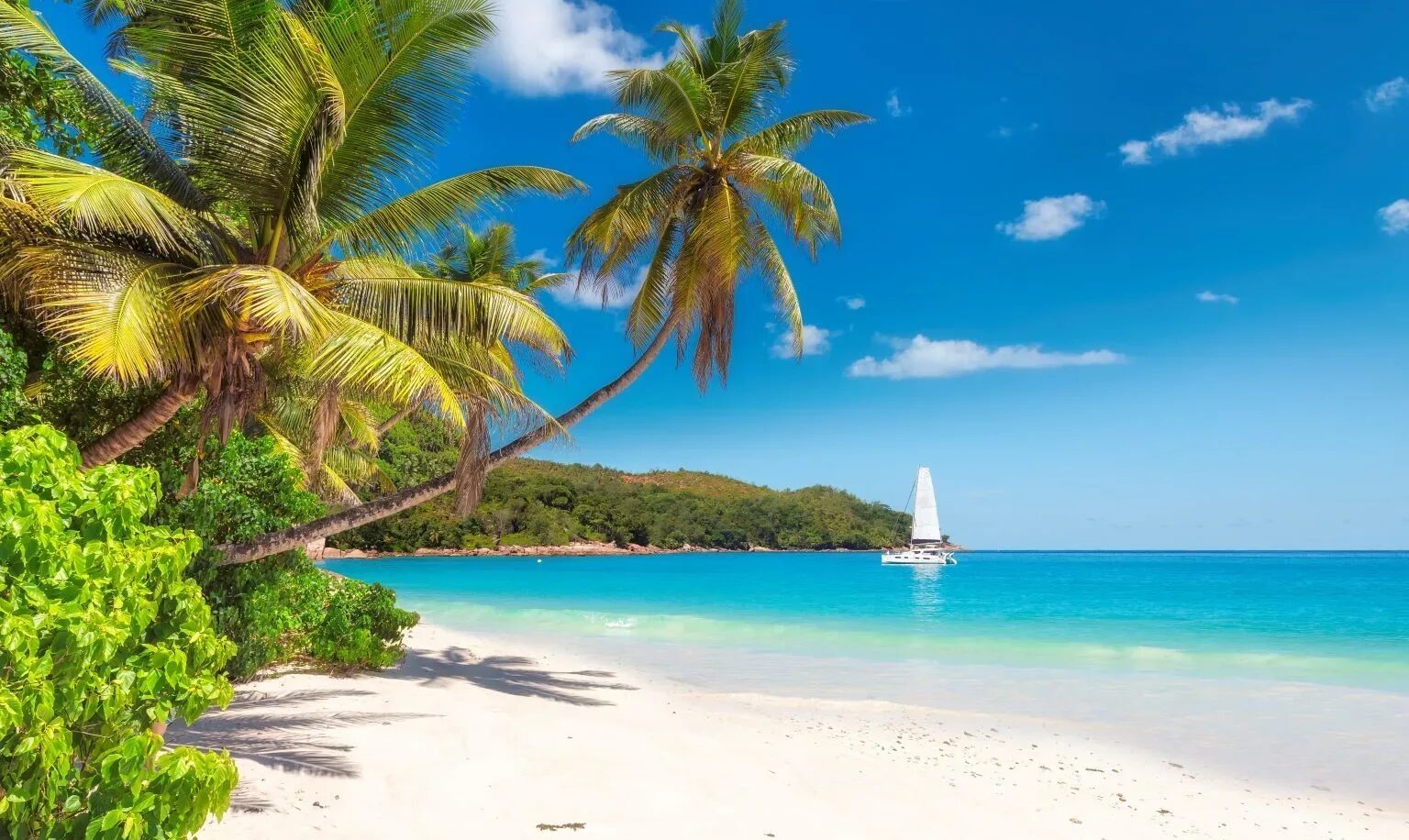 Jamaica travel photo 7