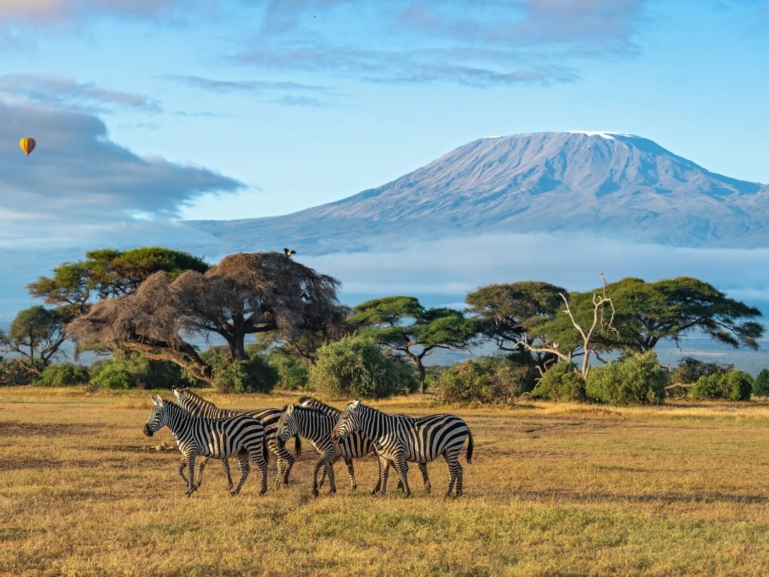 Kenya travel photo 5