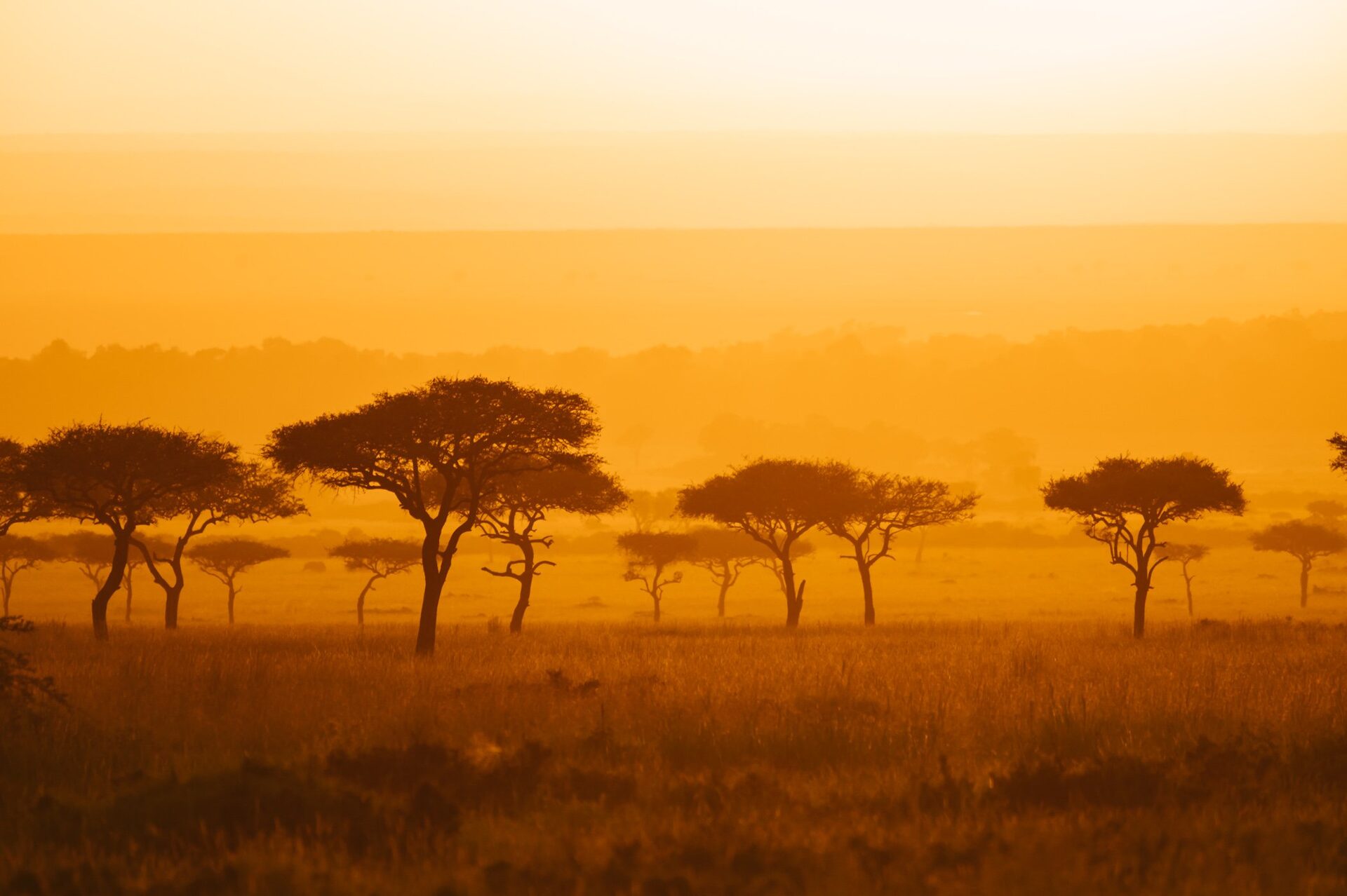 Kenya travel photo 7