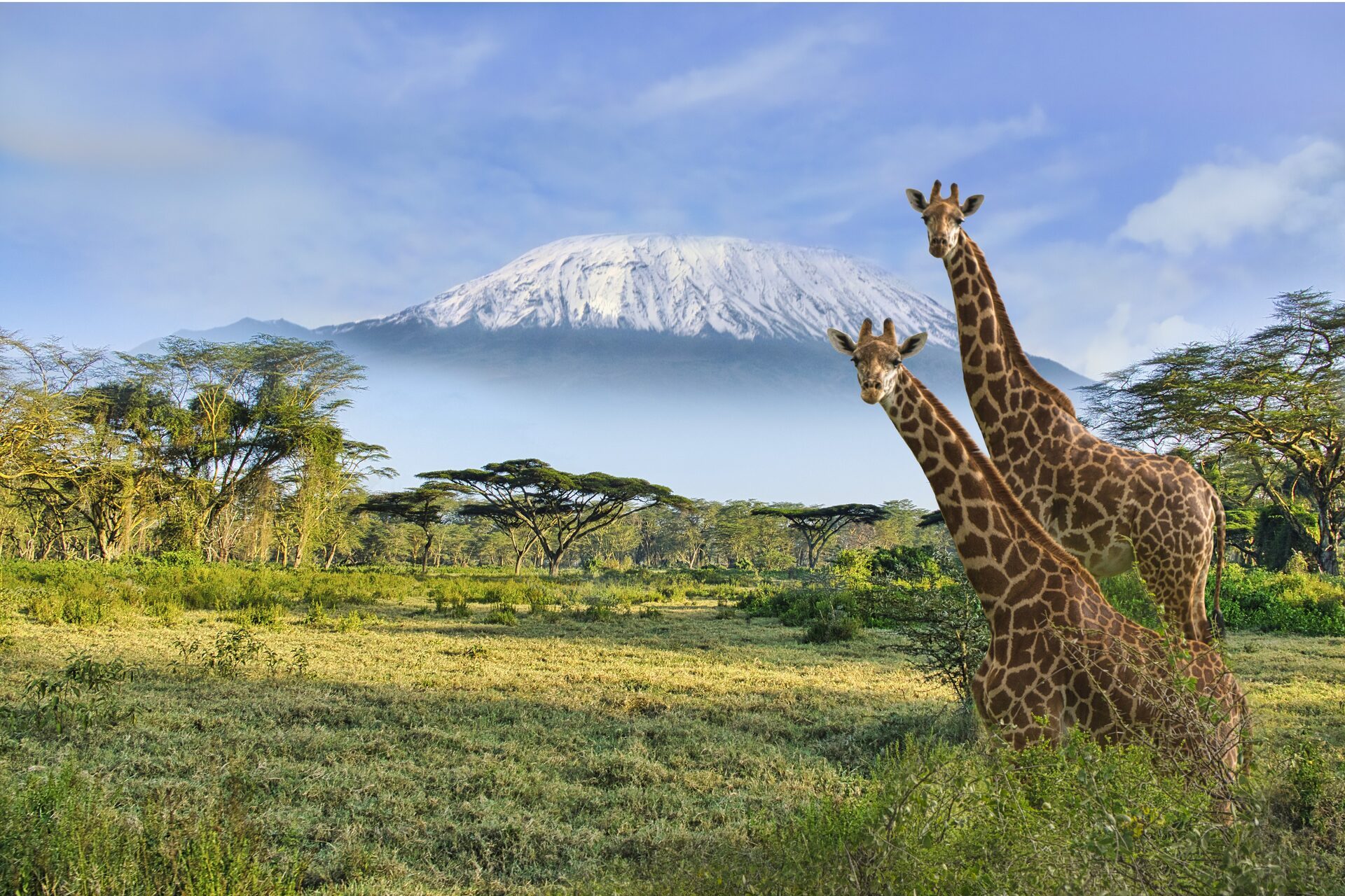 Kenya travel photo 8