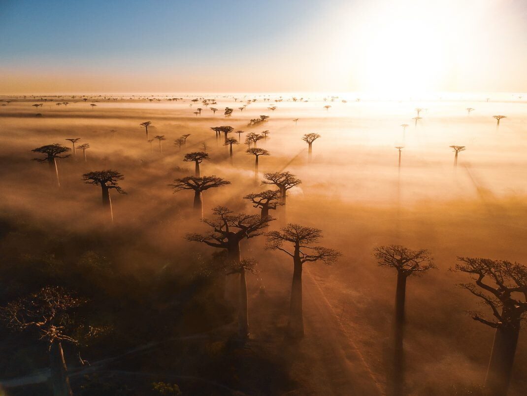 Madagascar travel photo 6