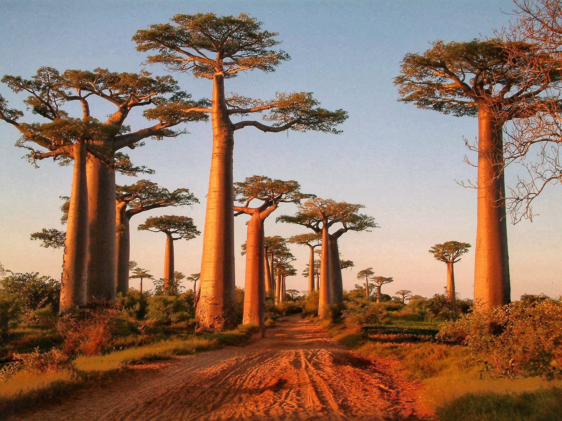 Madagascar travel photo 9
