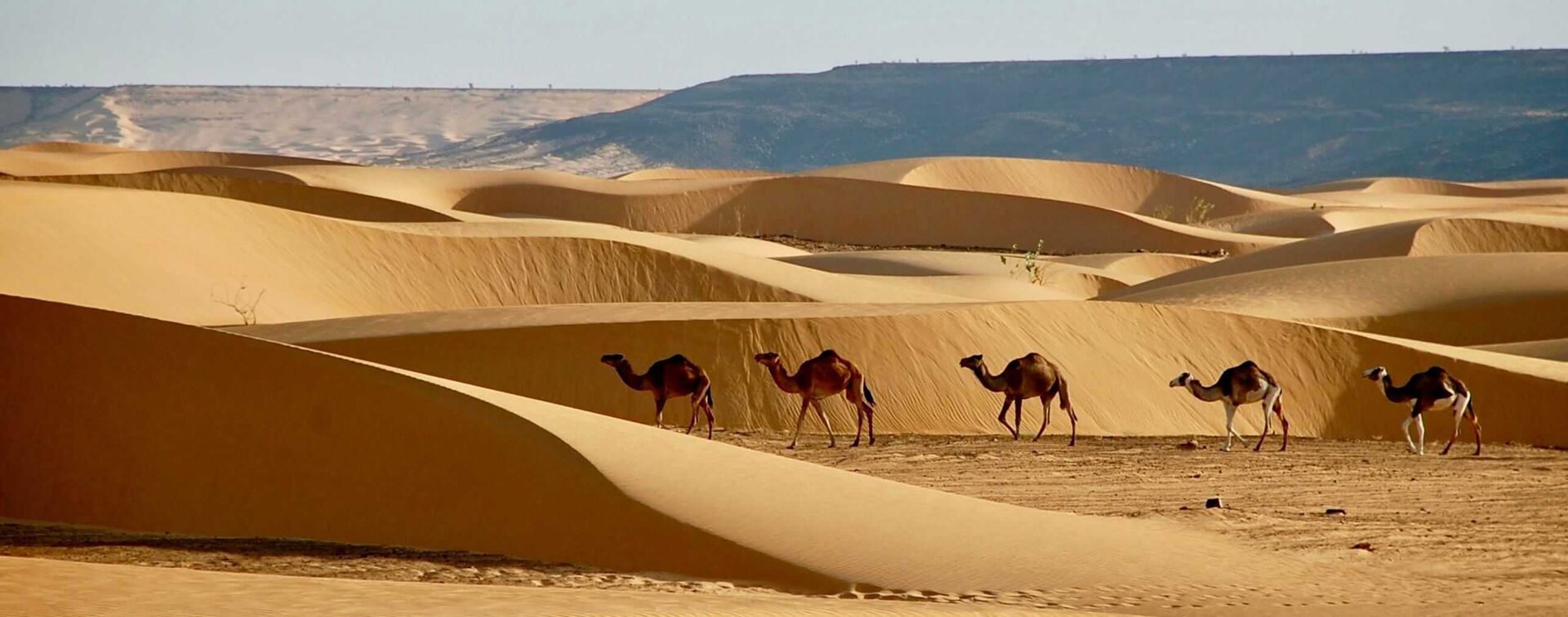 Mauritania travel photo 6