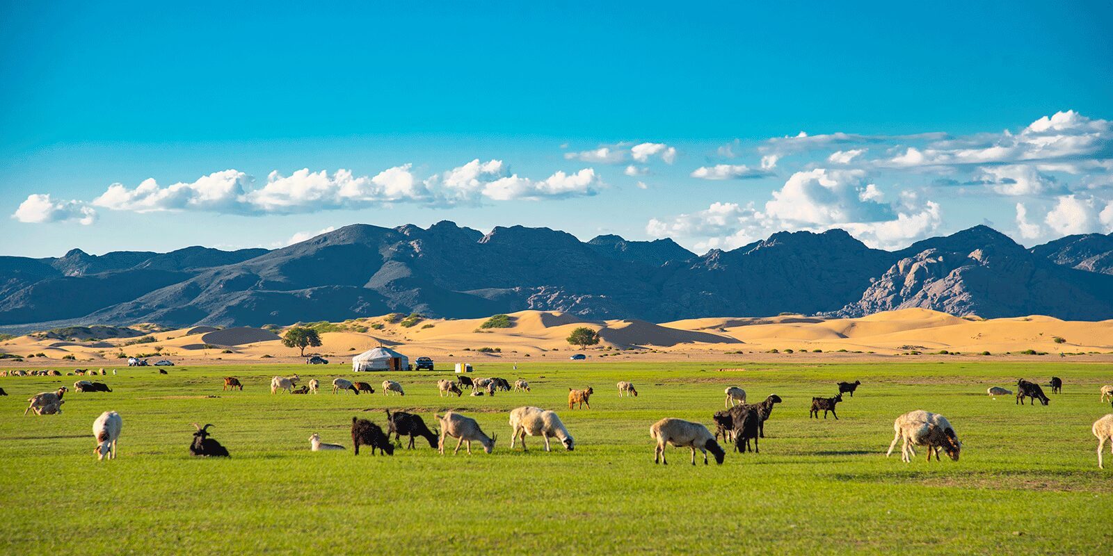 Mongolia travel photo 6