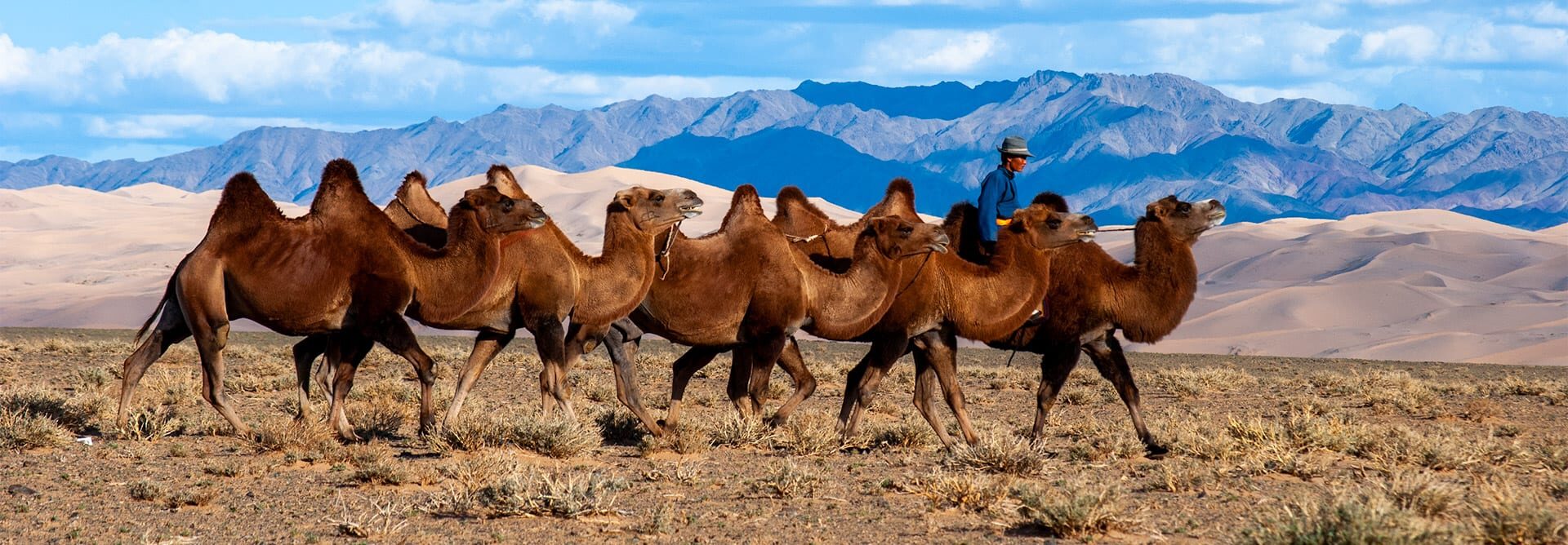 Mongolia travel photo 7