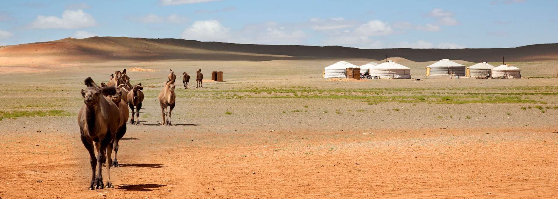 Mongolia travel photo 9