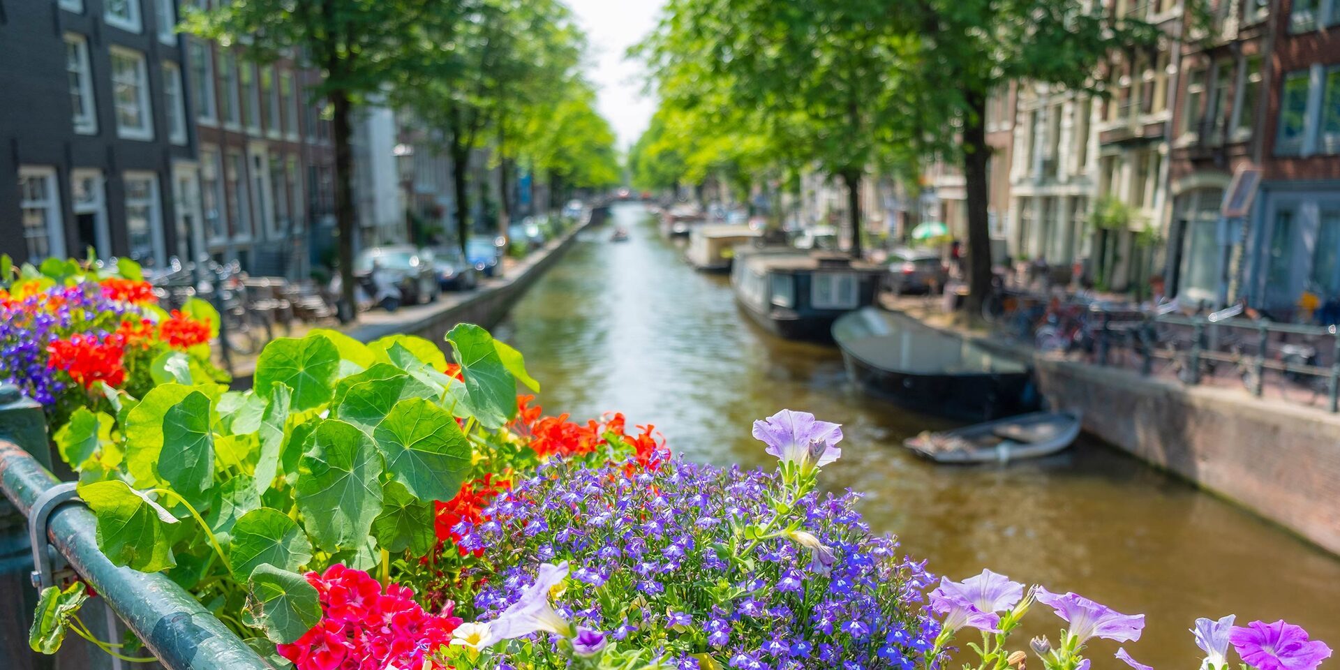 Netherlands travel photo 13