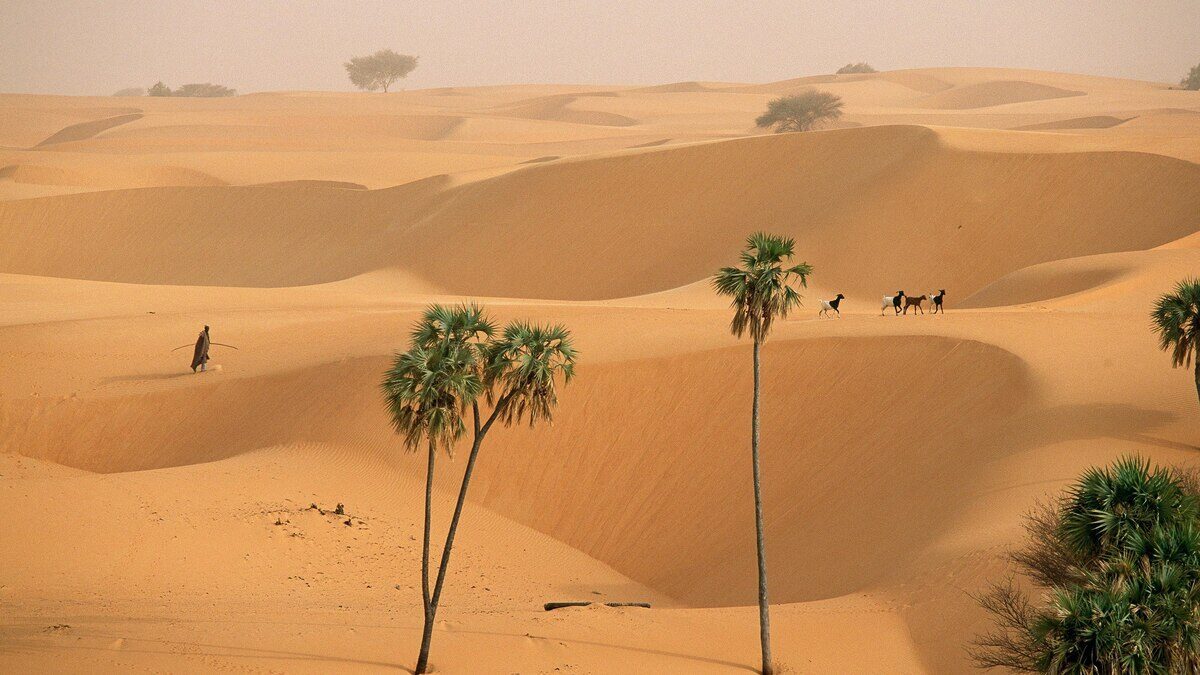 Niger travel photo 7