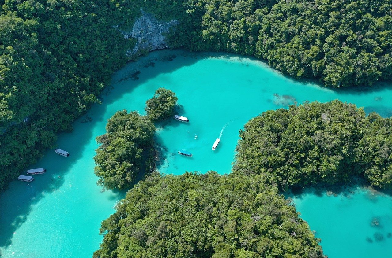 Palau travel photo 6