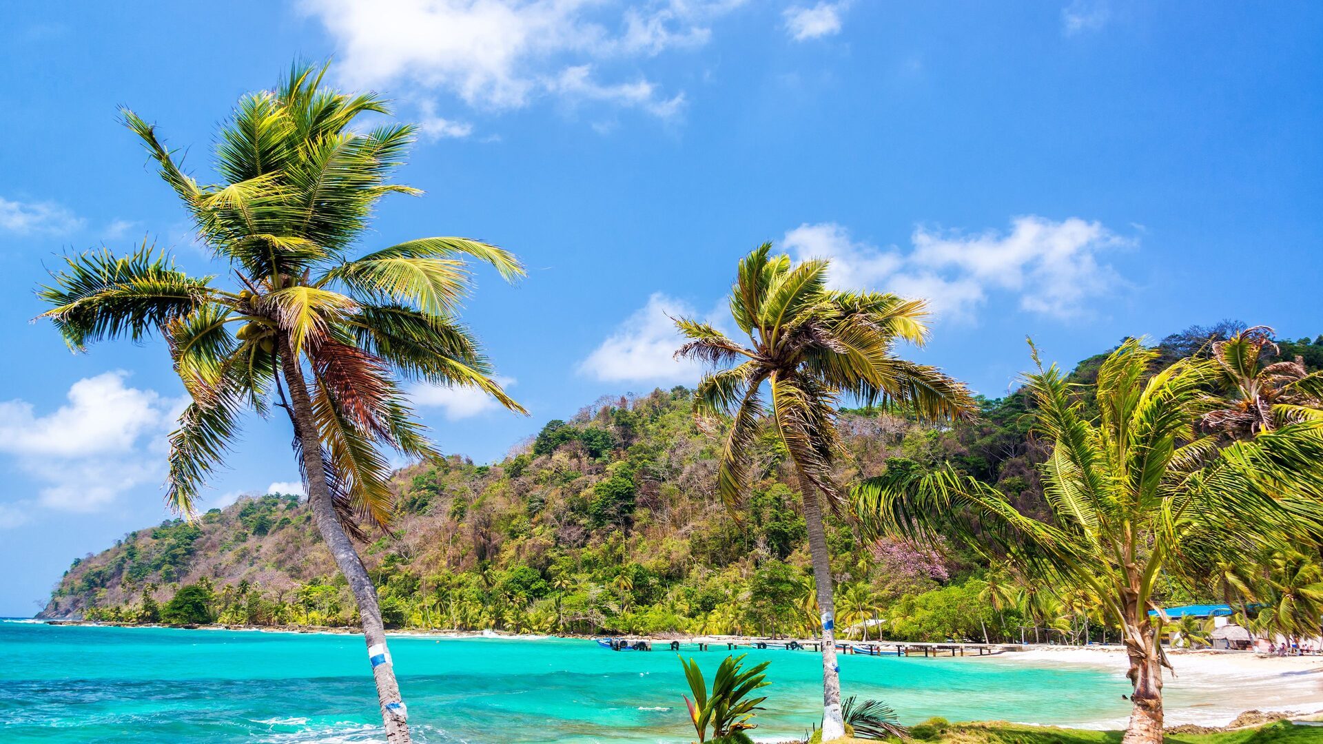 Panama travel photo 3