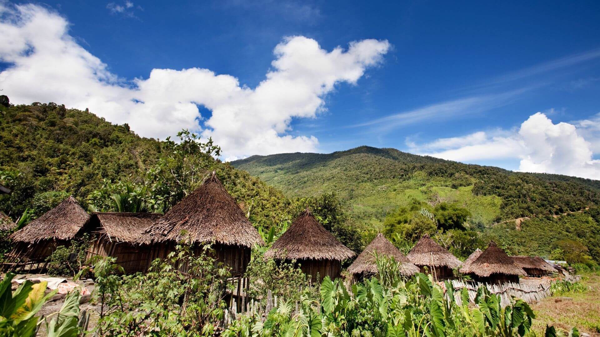 Papua New Guinea travel photo 12