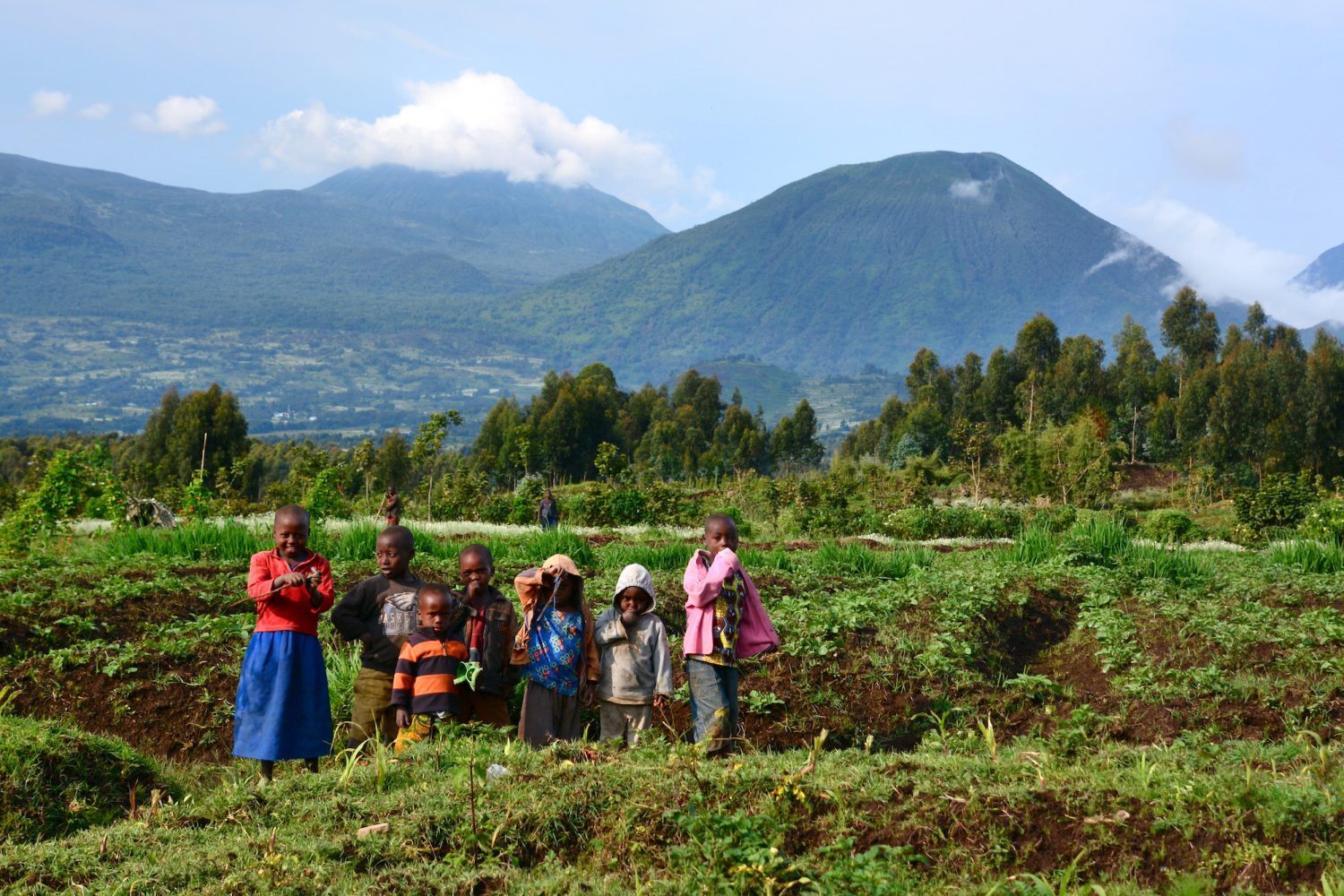 Rwanda travel photo 4