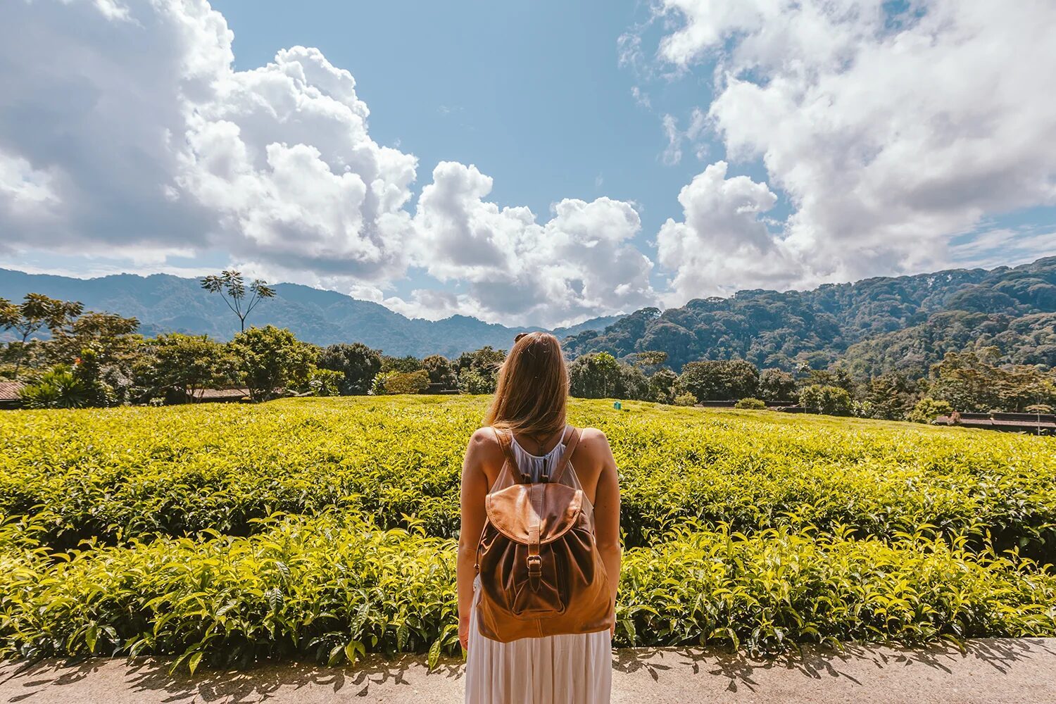 Rwanda travel photo 7