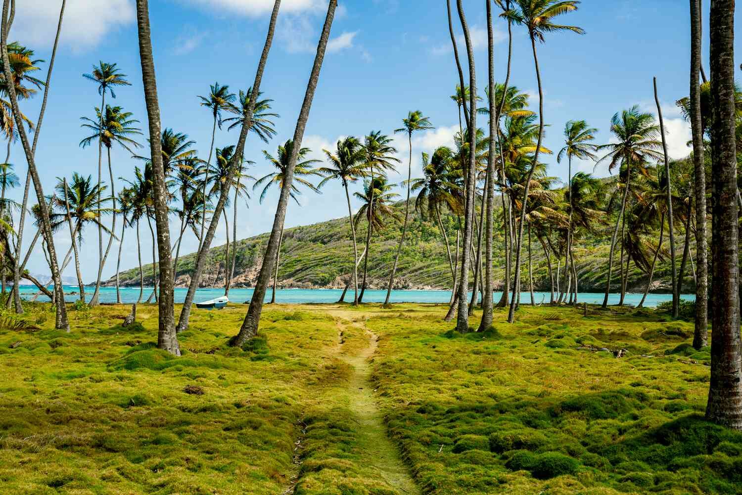 Saint Vincent travel photo 9