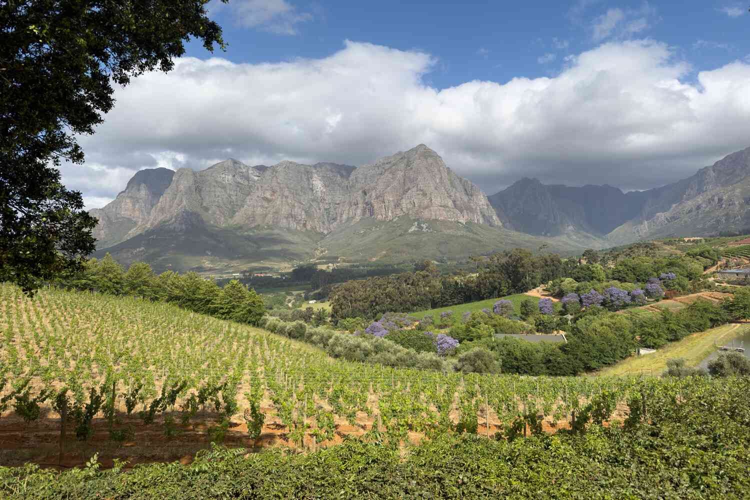 South Africa travel photo 5