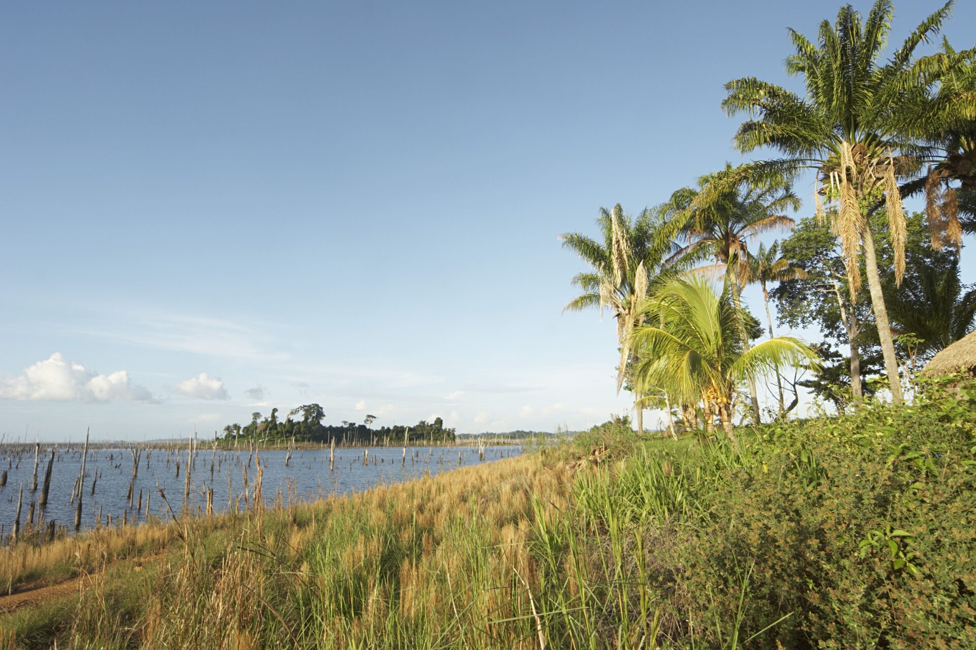 Suriname travel photo 1