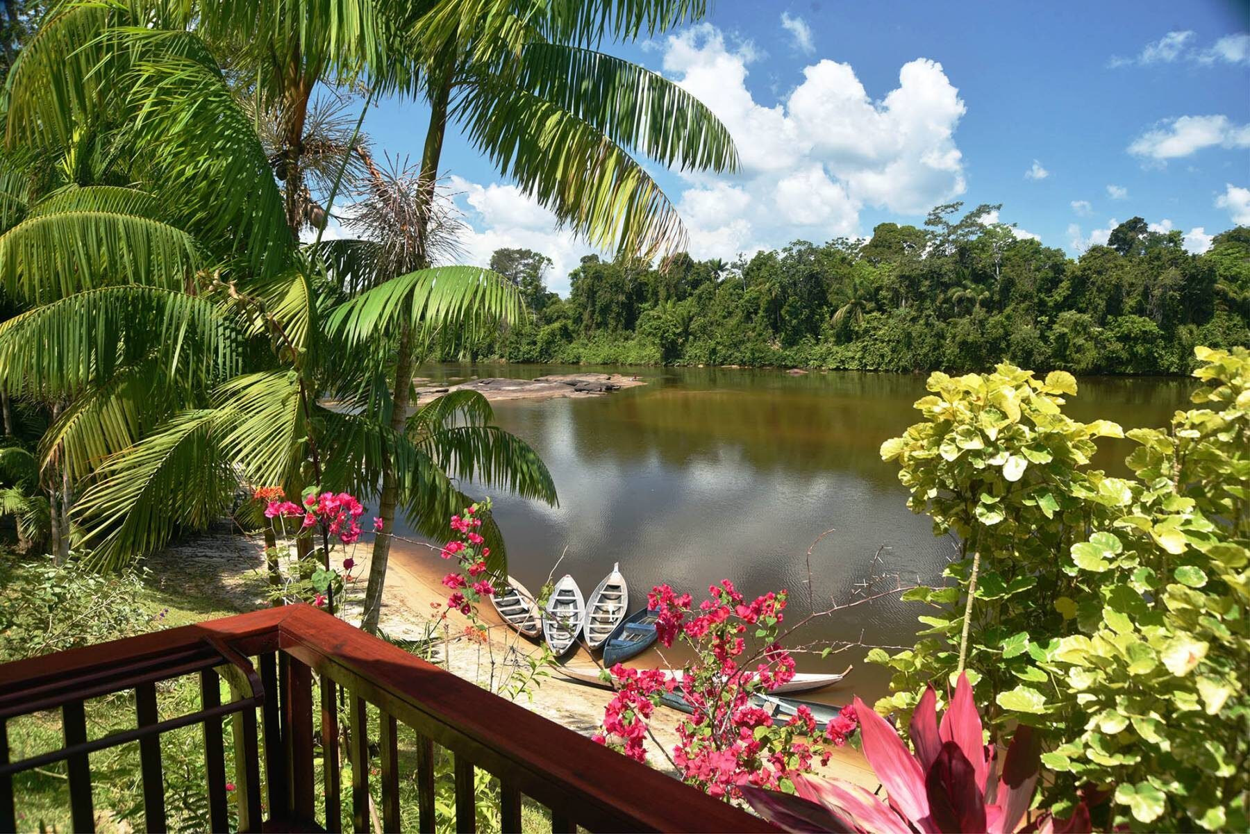 Suriname travel photo 7