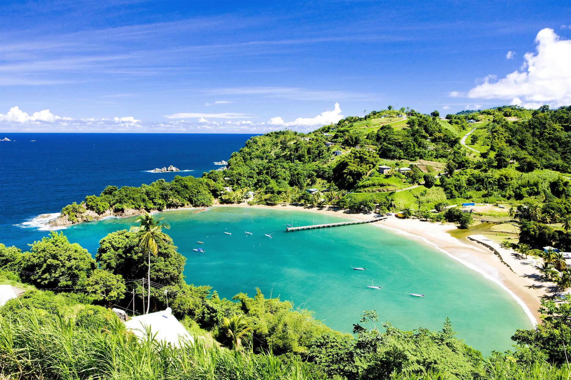 Trinidad and Tobago travel photo 7