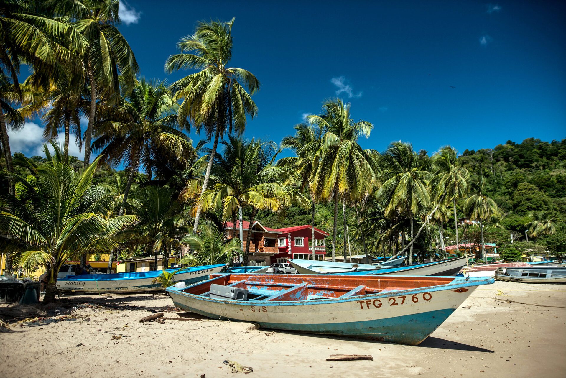 Trinidad and Tobago travel photo 8