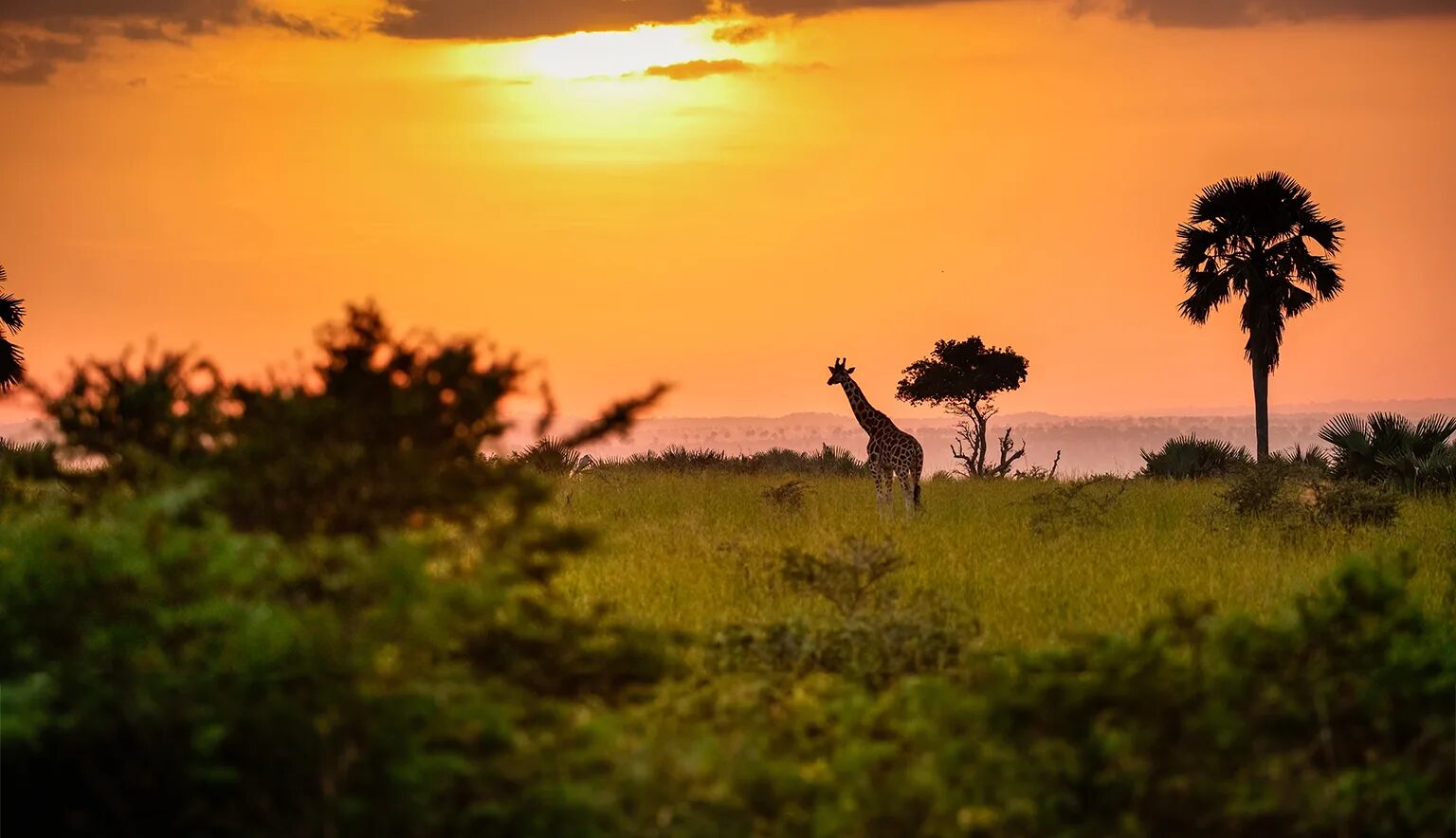 Uganda travel photo 3